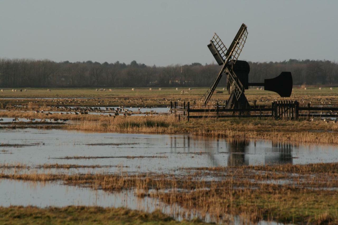 'T Lant Van Texsel De Koog  Extérieur photo